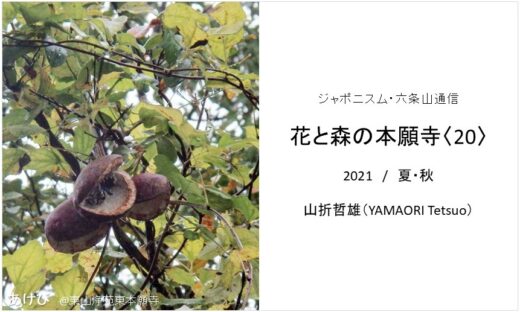 web_title_hanatomori_20