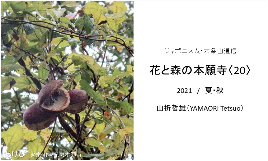 web_title_hanatomori_20